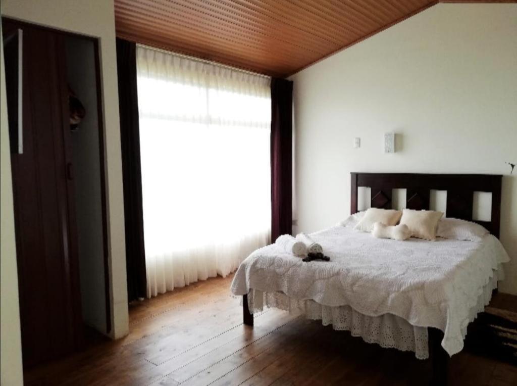 Hotel Vistas Del Cielo Cartago Exterior photo
